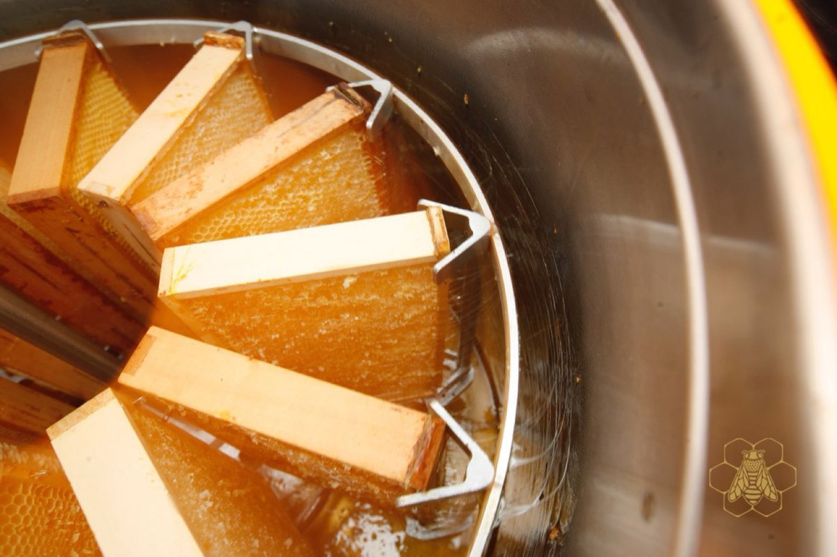 Honeycombs in the extractor