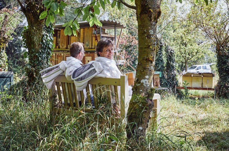Apiary in Zurich Höngg