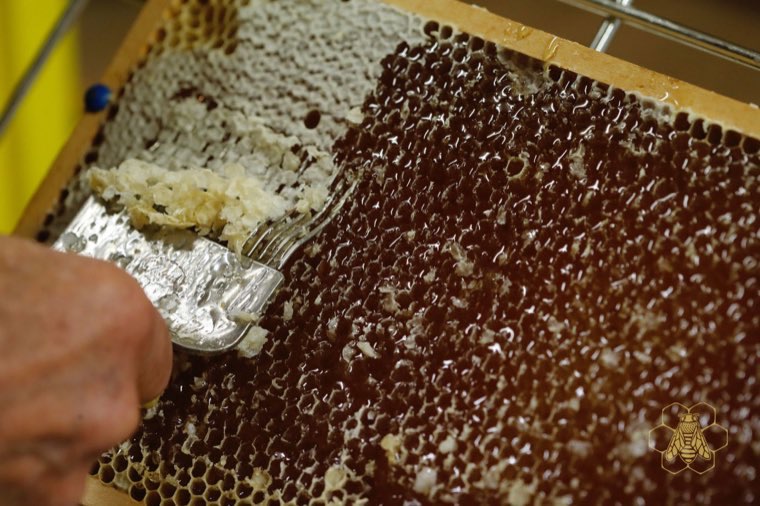 An impression from the apiary