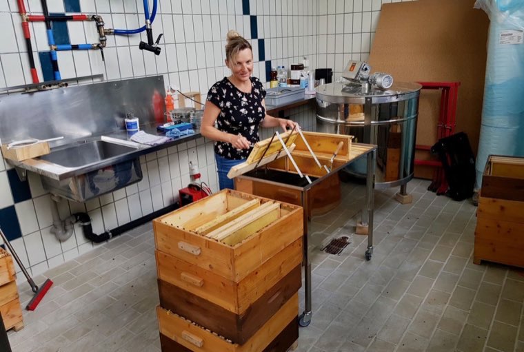 Bees in the country – around Lake Zurich